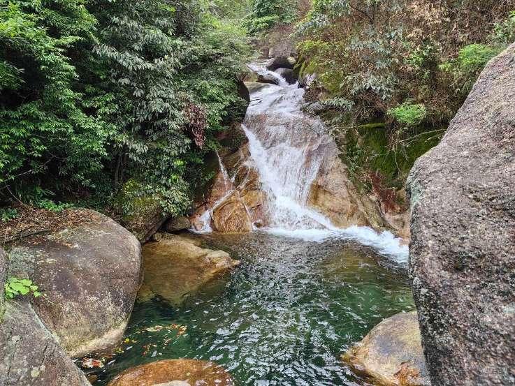 邪恶怪物群