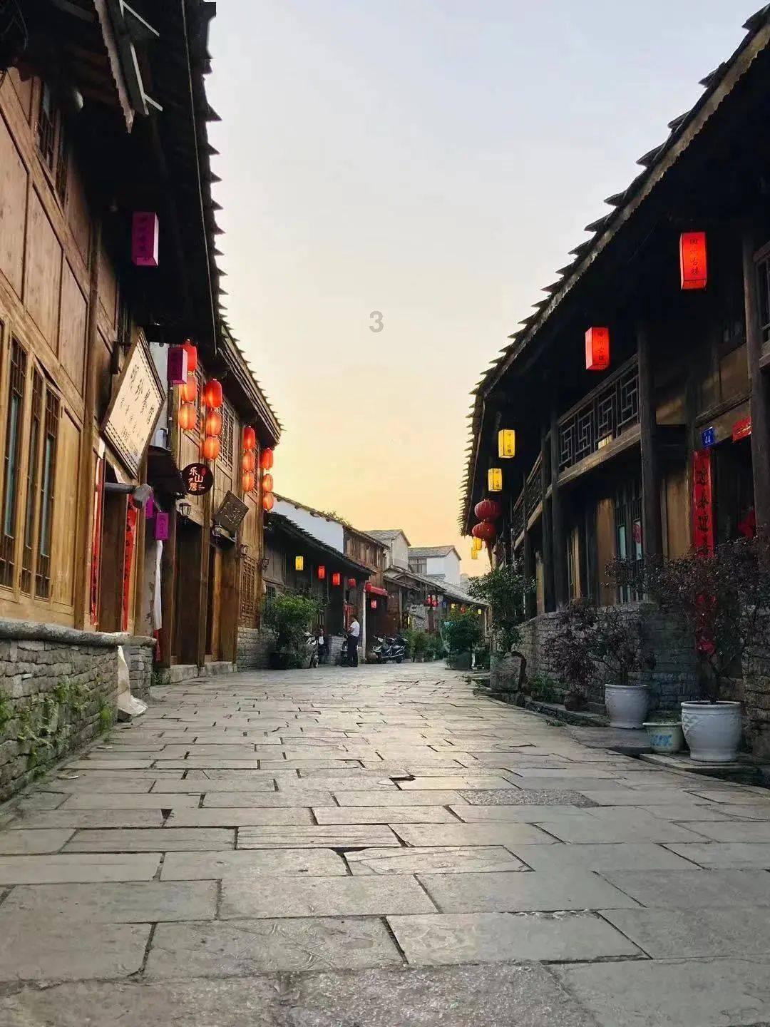 与“大猫”面对面！
